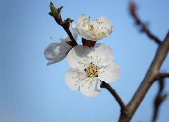 Similar image 624684