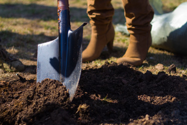 Similar image 624686