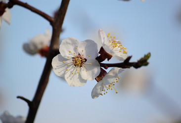 Similar image 624689