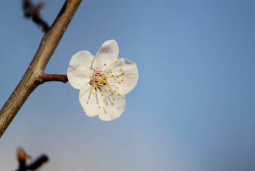 Similar image 624690