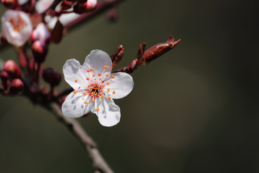 Similar image 624691