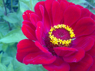 Similar image 624694