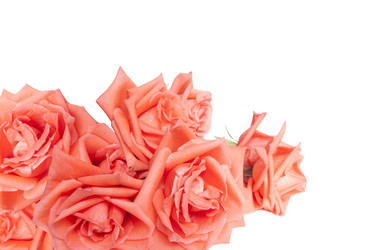 Similar image 624704