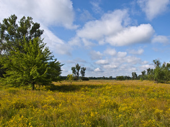 Similar image 624743