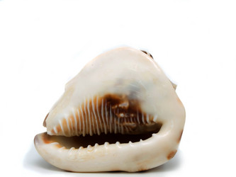 Similar image 624747