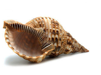 Similar image 624748