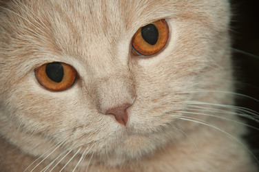 Similar image 624764