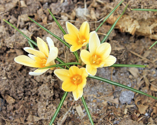 Similar image 624803