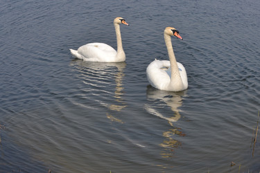 Similar image 624859