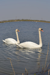 Similar image 624861