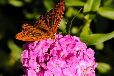 Similar image 624892