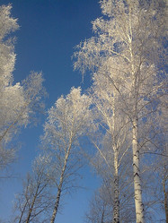 Similar image 624896