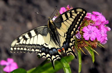 Similar image 624897