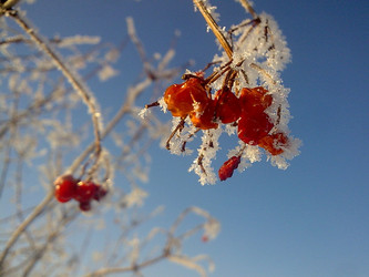 Similar image 624908