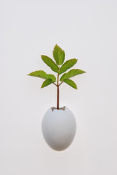 Similar image 624916