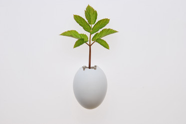 Similar image 624927