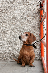 Similar image 624935