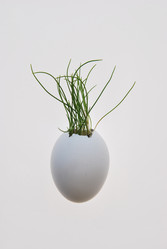 Similar image 624940