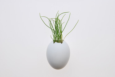 Similar image 624941