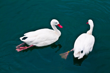 Similar image 624999