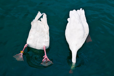 Similar image 625002