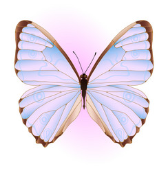 Similar image 625076