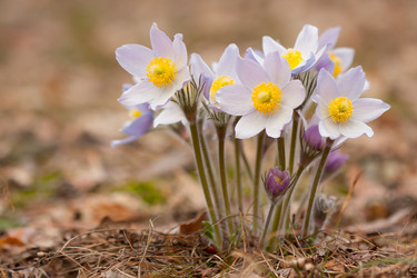 Similar image 625097