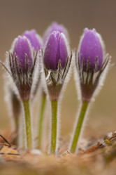 Similar image 625098