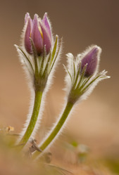 Similar image 625099