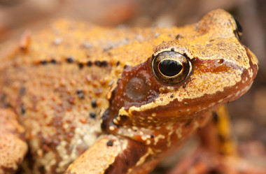 Similar image 625101