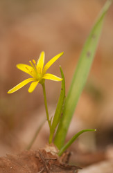 Similar image 625119