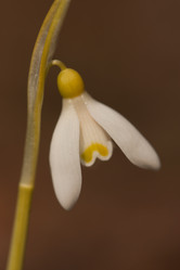 Similar image 625125