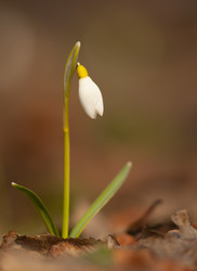 Similar image 625139