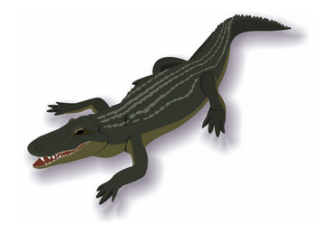 Similar image 625142