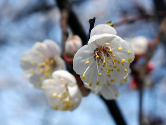 Similar image 625146