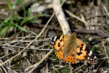 Similar image 625180