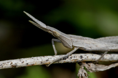 Similar image 625216