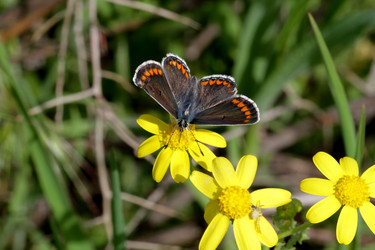 Similar image 625237