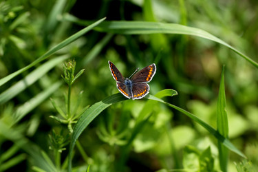 Similar image 625239