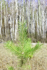 Similar image 625240