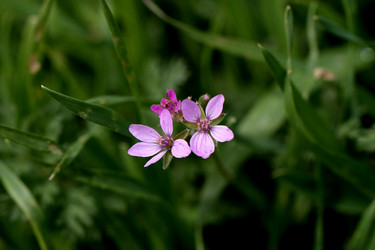 Similar image 625250