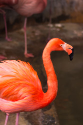 Similar image 625254