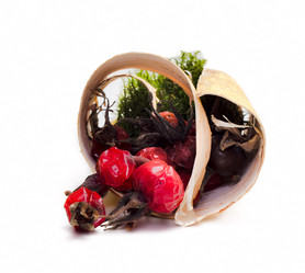 Similar image 625273