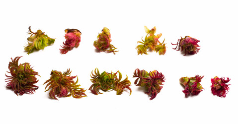 Similar image 625276