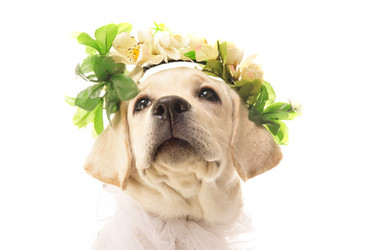 Similar image 625292