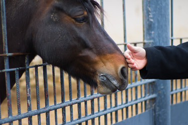 Similar image 625391