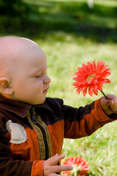 Similar image 625508