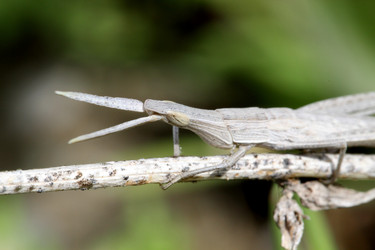 Similar image 625522