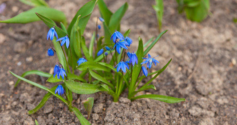 Similar image 625552