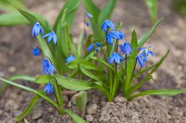 Similar image 625554